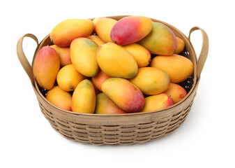 Mango on a white background