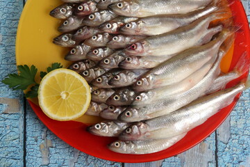 Lots of fresh smelt fish on a colorful plate and wooden background with old blue color, Smelt fishes (European smelt) with lemon and green parsley, Group of fresh smelt fish 