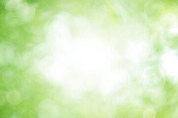 Green Leaf background. Blurred leaves and circular bokeh. Abstract for design and wallpaper.