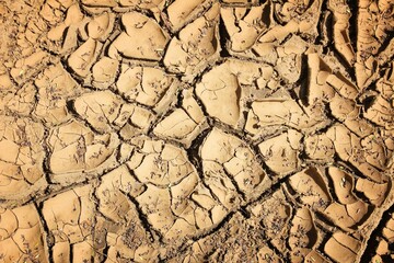 Dry cracked earth