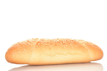 One fresh flavored bagel, close-up, isolated on white.