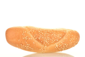 One fresh flavored bagel, close-up, isolated on white.