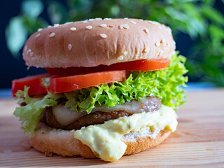 Hamburger on a wooden background. Side view. Close-up