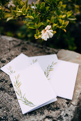 Blank postcards with ornaments lie on a stone tile under a blooming green bush