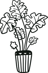 Vector line art illustration of monstera in a pot
