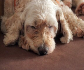 Un repos bien mérité