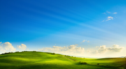 art rural landscape. field and grass