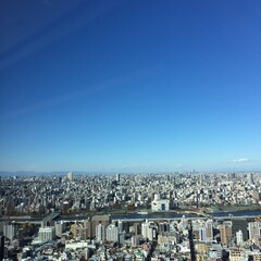 Obraz premium winter in the city