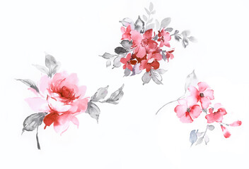 Fototapeta na wymiar Flowers watercolor illustration.Manual composition.Big Set watercolor elements，Design for textile, wallpapers，Element for design,Greeting card