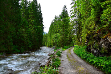 Landscape in the High Tatra mountains. The river Biela voda and a trail in the canyon Bielovodska dolina near the border between Poland and Slovakia.