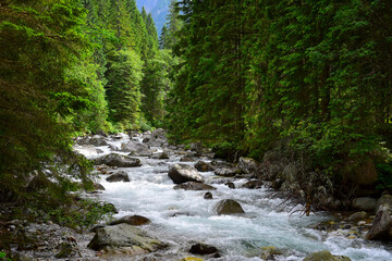 Landscape in the High Tatra mountains. The river Biela voda in the canyon Bielovodska dolina near the border between Poland and Slovakia. © Susanne Fritzsche