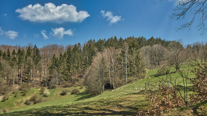 Fototapeta na wymiar Der Waldfrühlingsbeginn und eine versteckte Jagdhütte.