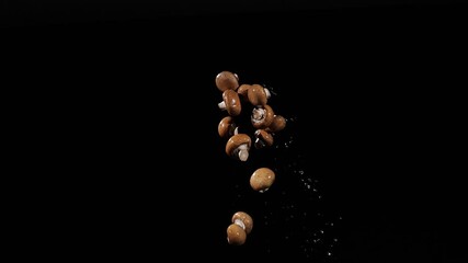 Wet fresh champignons fly up and spinning with water splashes on a black background in slow motion shot, water drops on mushrooms - Powered by Adobe