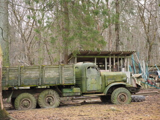 Obraz premium old truck in the forest