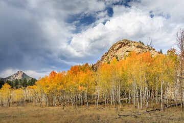 Autumn color in the mountains near Lake George, CO, USA