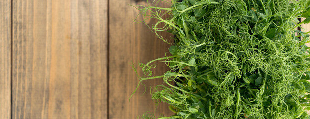 banner with young shoots of peas or beans in a container. green, juicy, fresh salad on a wooden background. healthy food concept.