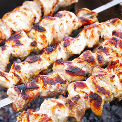Roasted meat cooked at barbecue and skewers during picnic