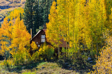 Fall color near Crested Butte, Colorado, USA