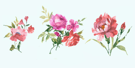 Flowers watercolor illustration.Manual composition.Big Set watercolor elements，Design for textile, wallpapers，Element for design,Greeting card