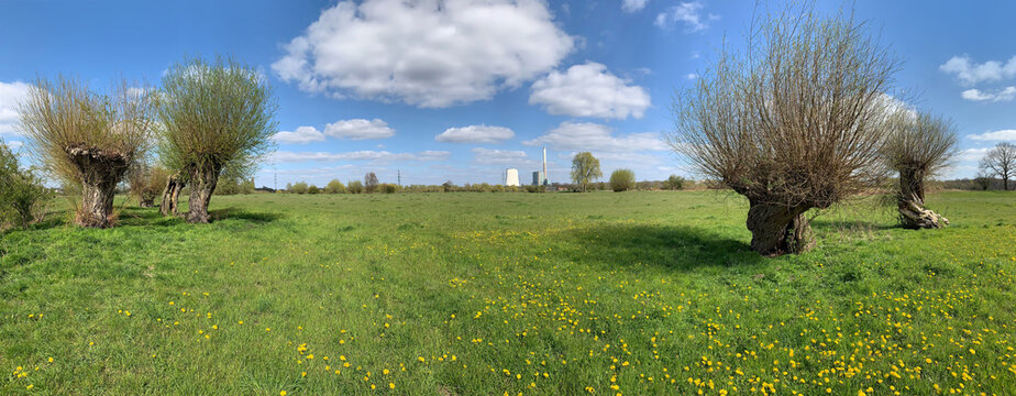 Lippeauen bei Bergkamen / Werne in NRW