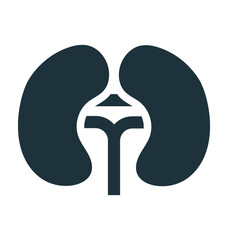 Kidneys 