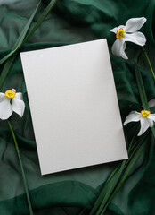 Mockup card with daffodils and green ribbon