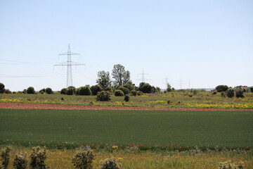 Landscape field, Southern France 