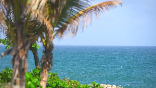 View of the turquoise sea through blurred foreground palms. Beautiful tropical landscape with space for text. Santo Domingo, Malecon. Dominican Republic