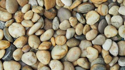 Pebble stone or river stone on floor for garden decoration. Landscape  design , garden idea , simplicity stone background concept. Flat lay texture in daylight
