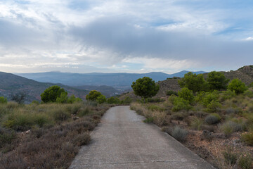 Fototapeta na wymiar forest road in southern Spain