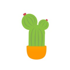 Best cactus design illustration, on white background