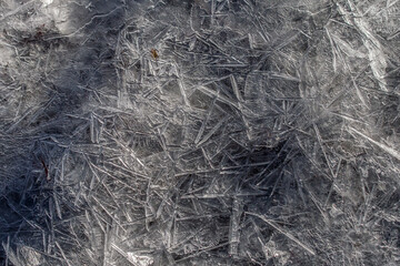 thin shards of ice on a frosty spring day form beautiful patterns of light and shadow