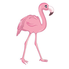 Cartoon flamingo isolated on white background.