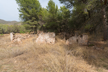 Fototapeta na wymiar ruined farmhouse in the forest in southern Spain
