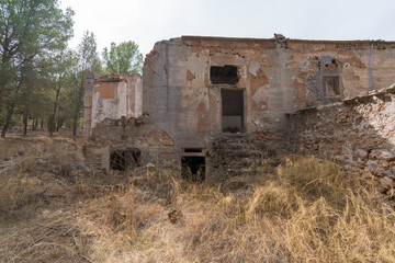 ruined farmhouse in the forest in southern Spain