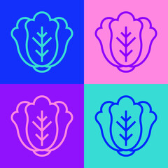 Pop art line Fresh cabbage vegetable icon isolated on color background. Vector