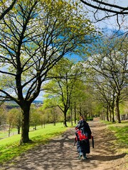 walking in the park