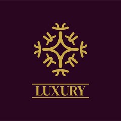 Mandala Geometric ornament logo Elegant premium icon vector design