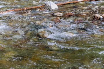 Views of Waterton from the roadisde. Waterton Lakes National Park, Alberta, Canada