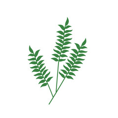 Twig logo with foliage. Beautiful fern illustration. Ornamental plant on a white background. Floral print for clothing, design.