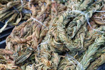 leaves armenian aveluk (Rumex confertus)