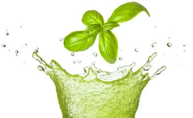  Basil leaf falling in green juice splash isolated on white. Herb healthy beverage. © popout