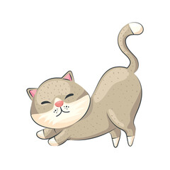 cute beige cat