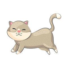 beige cute cat