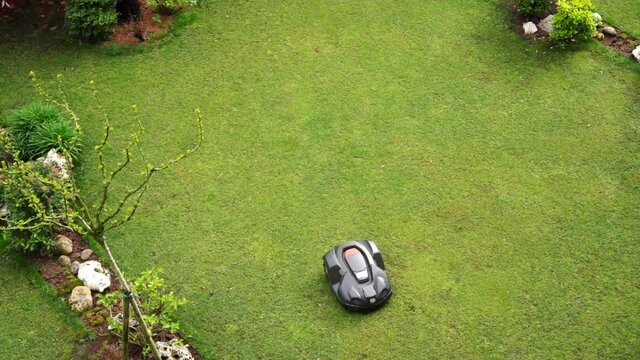 Robot lawn mower drives through the lawn from one side to the other 