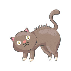 cute bristling cat