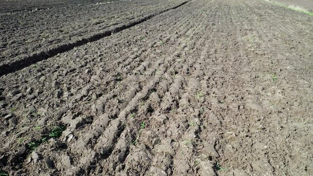 Drone flight over plowed field in Wegrow County, Masovian Voivodeship of Poland, 4k video