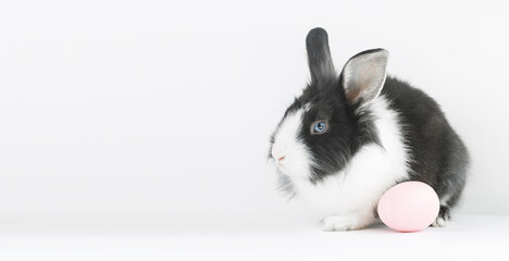 Easter bunny with a pink egg on a white gray background. Easter holiday concept. Copy space. Banner