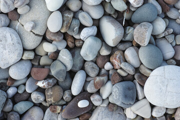 Pebbles on a beach. Background. Sea stone background. Close up.