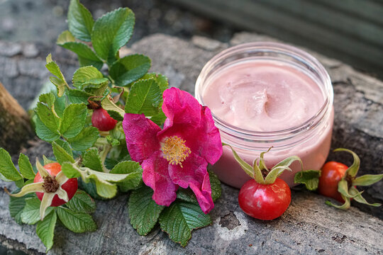  Pink face cream or body cream in packaging with wild rose flower and wild rose fruit on wooden background. Rose face cream. Rose hip cosmetics. Homemade face cream. 